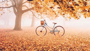 Φθινοπωρινή ισημερία σήμερα Παρασκευή - Αρχίζει και τυπικά το φθινόπωρο